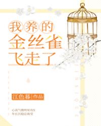 我养的金丝雀飞走了章节列表