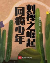 网瘾少年刘禅之崛起章节列表