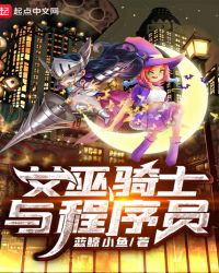 女巫骑士与程序员章节列表