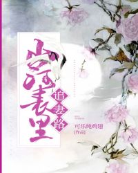 山河表里追妻路章节列表