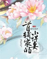 首辅家的小悍妻章节列表