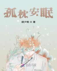 孤枕安眠章节列表