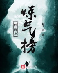 我要上炼气榜章节列表