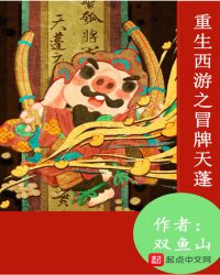 重生西游之冒牌天蓬章节列表