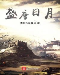 盛唐日月章节列表