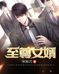 至尊女婿章节列表