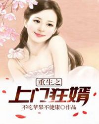重生之上门狂婿章节列表