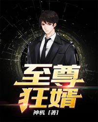 至尊狂婿章节列表