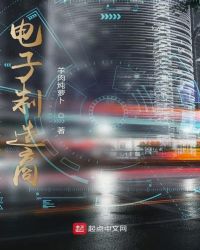 电子制造商章节列表