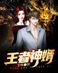 王者神婿章节列表