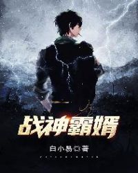 战神霸婿章节列表