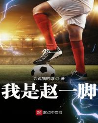 我是赵一脚章节列表