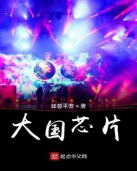 大国芯片章节列表