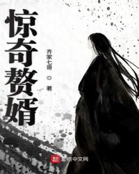 惊奇赘婿章节列表