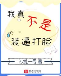 我真不是装逼打脸章节列表