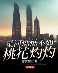 星河烁烁不如桃花灼灼章节列表