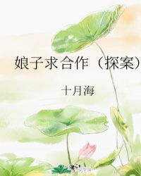 娘子，求合作（探案）章节列表