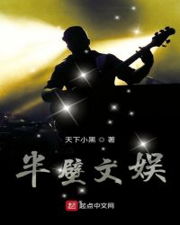半壁文娱章节列表