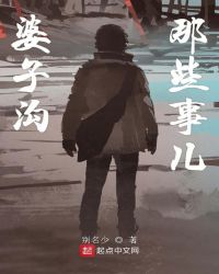 婆子沟那些事儿章节列表