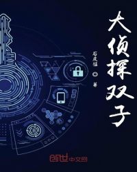 大侦探双子章节列表