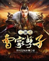 三国之曹家孽子章节列表