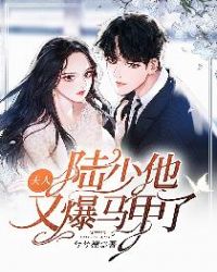 夫人，陆少他又爆马甲了章节列表