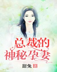 总裁的神秘孕妻章节列表