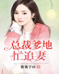 总裁爹地忙追妻章节列表