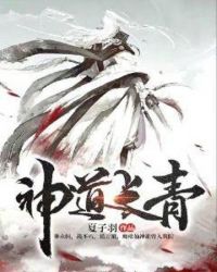 神道长青章节列表