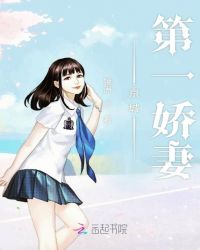 京城第一娇妻章节列表