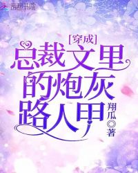 穿成总裁文里的炮灰路人甲章节列表