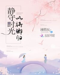 静守时光以待卿归章节列表