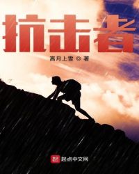 抗击者章节列表