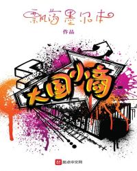 大国小商章节列表