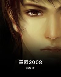 重回2008章节列表