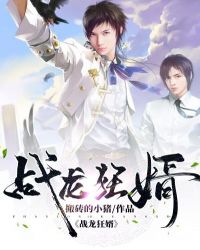 战龙狂婿章节列表