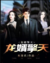 龙婿擎天章节列表