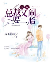 夫人，总裁又闹要二胎章节列表