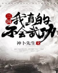 三国：我真的不会武功章节列表