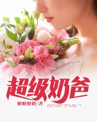 超级奶爸章节列表