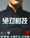绝对秘技章节列表