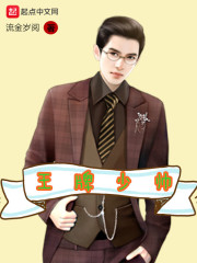 王牌少帅章节列表