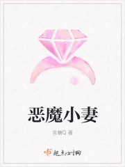 恶魔小妻章节列表