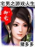 宅男之游戏人生章节列表