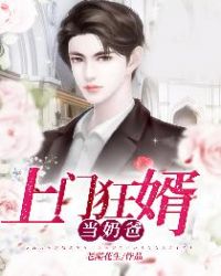 上门狂婿当奶爸章节列表