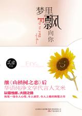 梦里飘向你章节列表