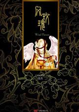 风玫瑰章节列表