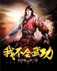 我不会武功章节列表