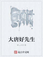 大唐好先生章节列表