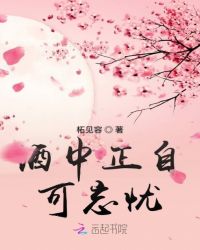 酒中正自可忘忧章节列表